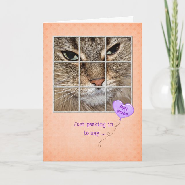 Carte Chat d'anniversaire dans la fenêtre (Devant)