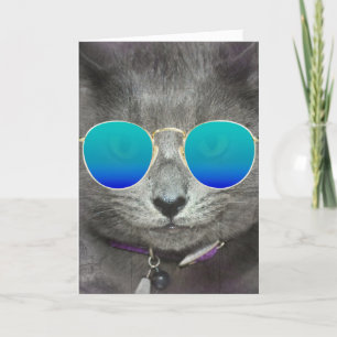 Carte Chat d'anniversaire gris avec lunettes de soleil