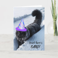 Chat D'Anniversaire Marchant Dans La Neige Profond
