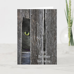 Carte Chat d'anniversaire se cachant derrière la grange 