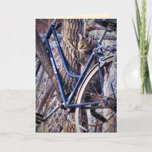 Carte Chat dans l'arbre avec bicyclette Chats mignons dr