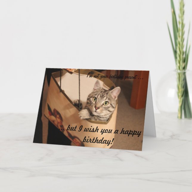 Carte Chat dans un sac cadeau (Devant)