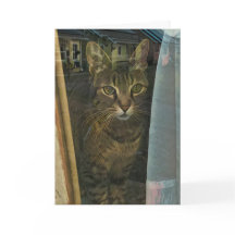 Chat dans une fenêtre Reflétant les pensées de vou