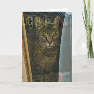 Carte Chat dans une fenêtre Reflétant les pensées de vou