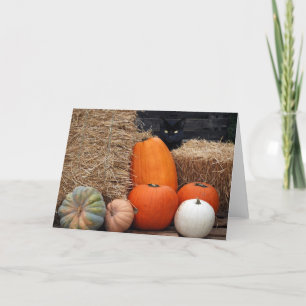 Carte Chat d'automne