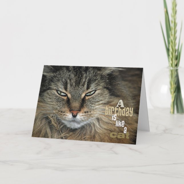 Carte Chat de Birthday (Devant)
