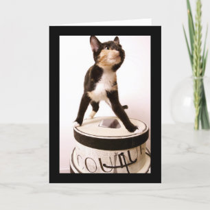 Carte Chat de couture