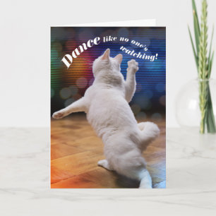 Carte Chat de danse amusant - Personne ne regarde l'anni