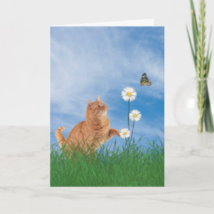 Carte Chat De Gingembre Avec Baise Anniversaire