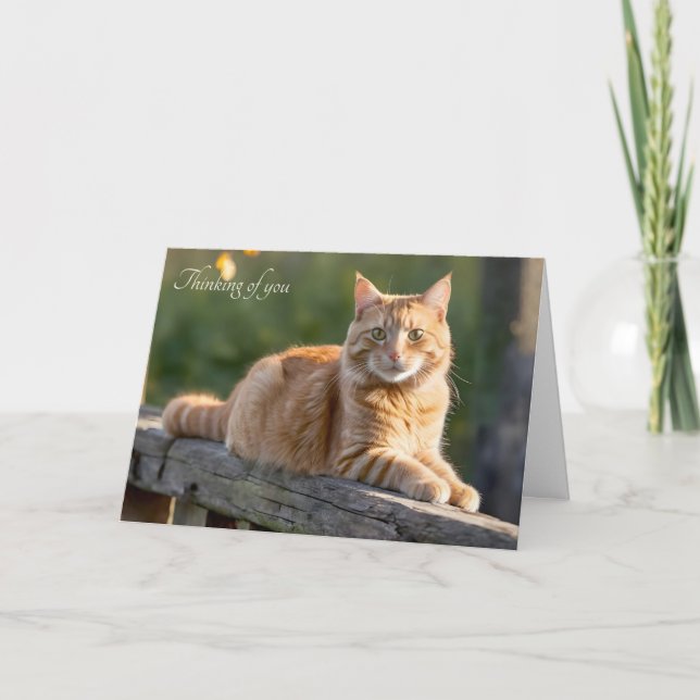 Carte Chat de gingembre sur une clôture rustique (Devant)