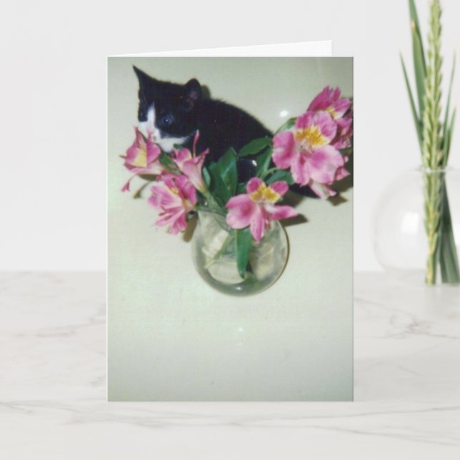 Carte Chat de joyeux anniversaire avec des fleurs dans (Devant)