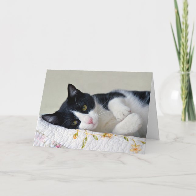 Carte Chat de luxe réfléchi (Devant)