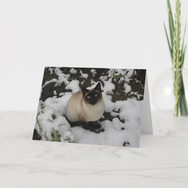 Carte Chat de neige (Devant)