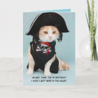 Chat de pirate drôle personnalisable