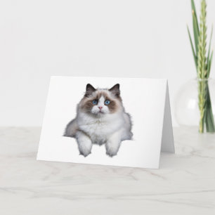 Carte Chat de poupée mignonne