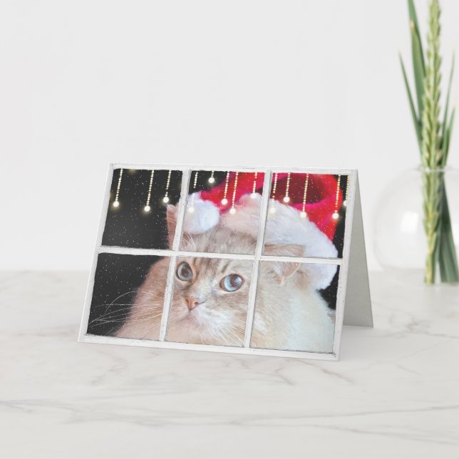 Carte Chat de Ragdoll dans la fenêtre d'hiver avec des (Devant)