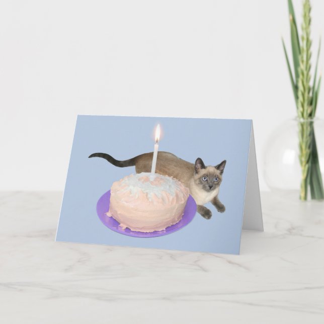 Carte Chat de Siamese avec gâteau d'anniversaire (Devant)
