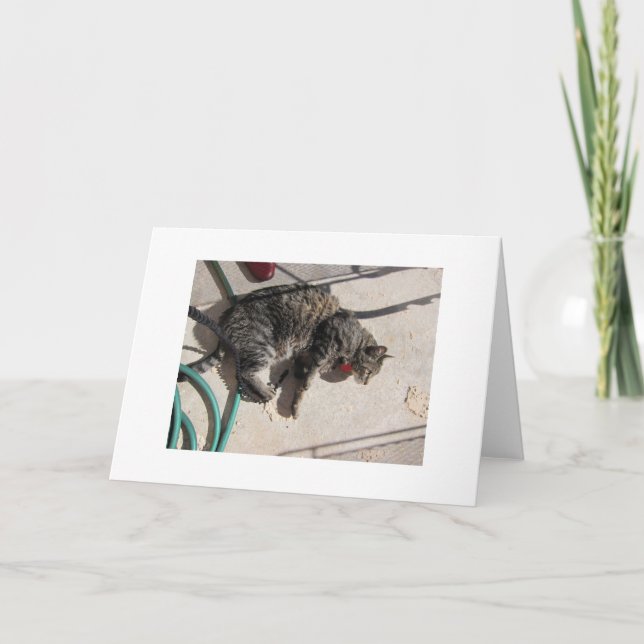 Carte Chat de Sun (Devant)