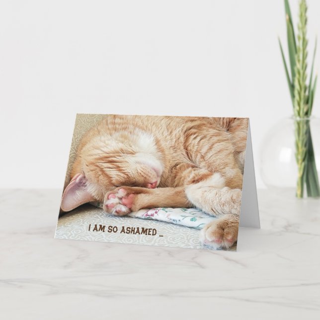 Carte chat de tabby d'anniversaire (Devant)
