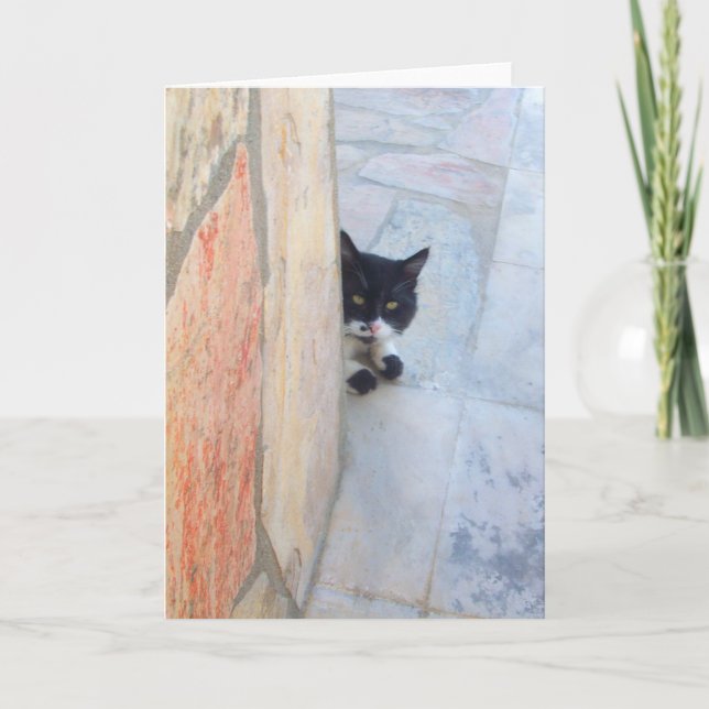 CARTE CHAT DÉTECTIF DERRIÈRE LE MUR DE PIERRE (Devant)