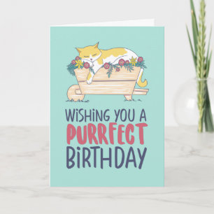 Carte Chat Dormir Drôle Amoureux des chats Purrfect Anni
