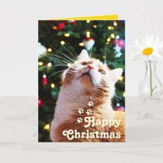 Carte Chat drôle et arbre vert&Joyeux Noël Unique C