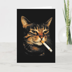 Carte Chat drôle fumant cigarette chaton mème stupide ce