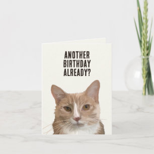 Carte Chat drôle Kitten Me Pun Anniversaire