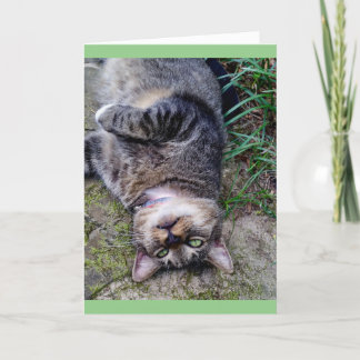 Carte Chat drôle unité TENS
