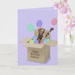Carte Chat du Bengale en boîte sur un point polka