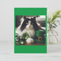 Chat du jour de St. Patty