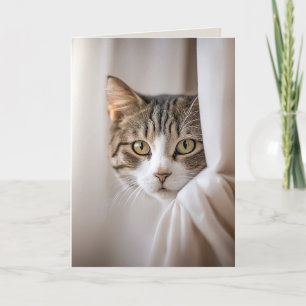 Carte Chat en rideau Humour d'anniversaire