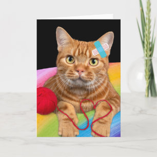 Carte Chat endommagé sur l'arrière - plan arc-en-ciel