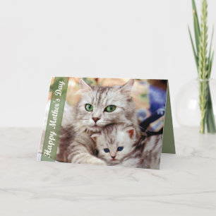 Carte Chat et chaton du jour de mère