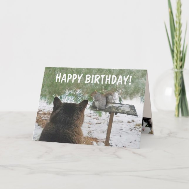 Carte Chat Et Écureuil Anniversaire Drôle (Devant)