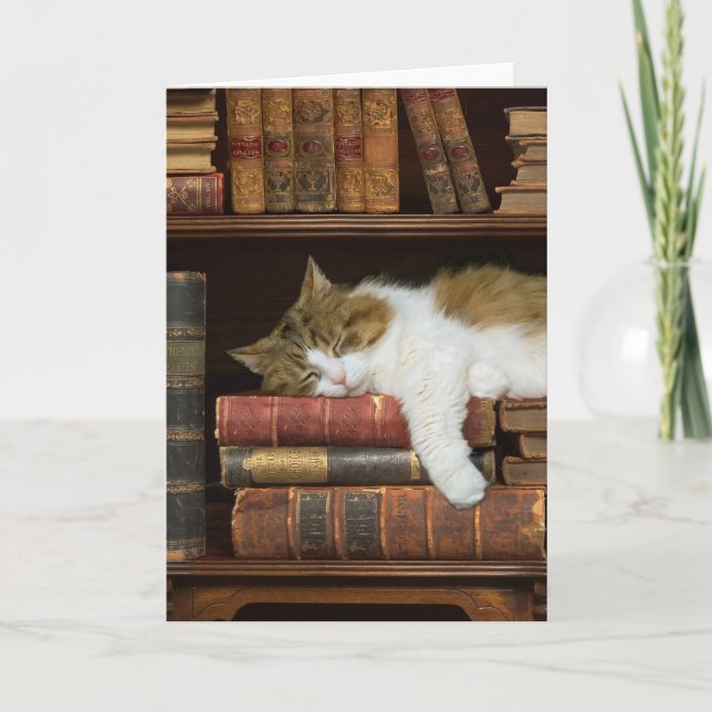 Carte Chat et livres (Devant)