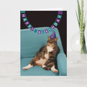 Carte Chat gras amusant en Casquette violet Joyeux anniv