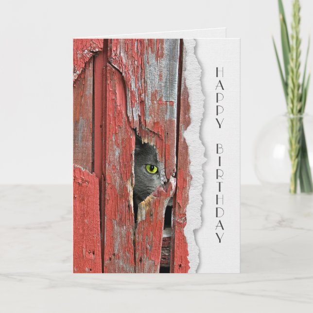 Carte Chat Gris Dans Le Trou De Grange Bonjour (Devant)