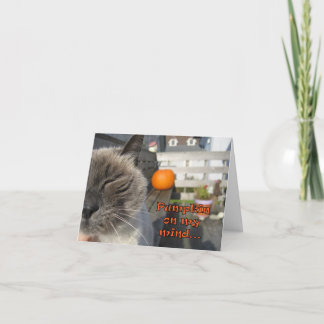 Carte Chat Halloween