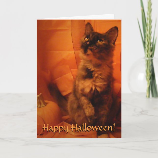 Carte Chat Halloween (Devant)
