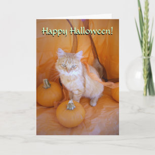 Carte Chat Halloween