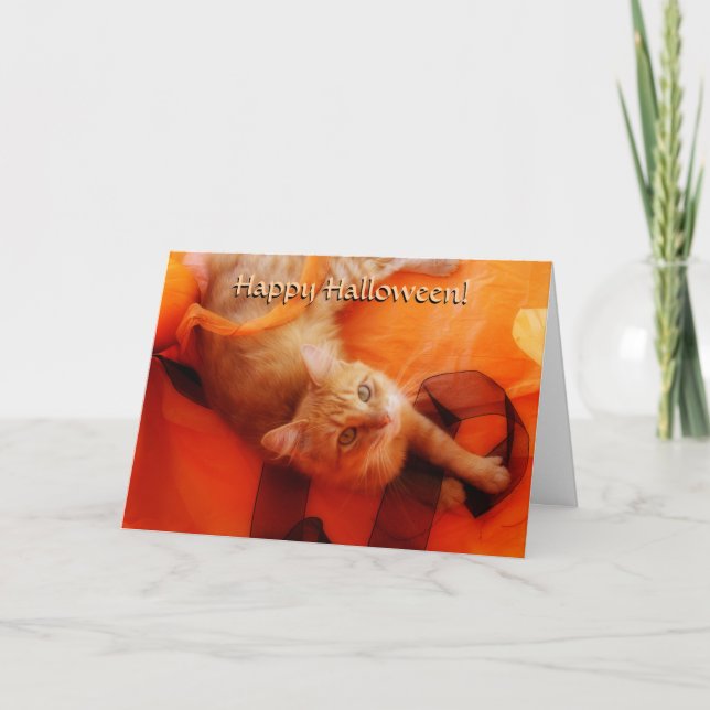 Carte Chat Halloween (Devant)