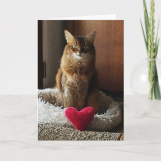 Carte Chat Heart Cat Somali Saint-Valentin 