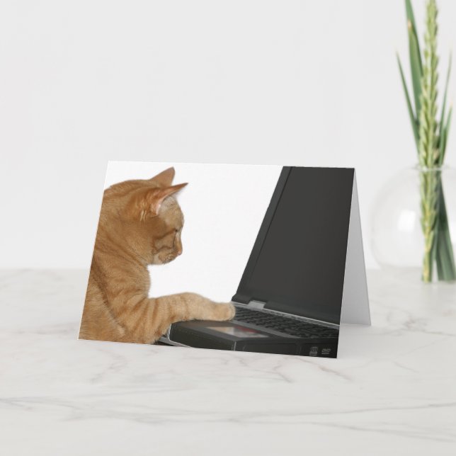 Carte chat informatique (Devant)