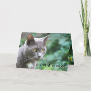 Carte Chat Kitty Funny