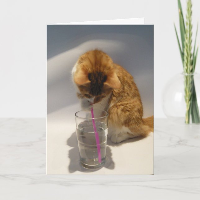 Carte Chat mignon buvant du joyeux anniversaire de (Devant)