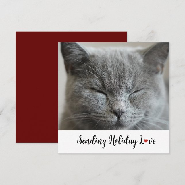 Carte Chat mignon Envoi de vacances Amour (Devant / Derrière)