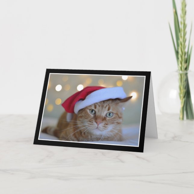 Carte Chat mignon portant un chapeau de Noël (Devant)