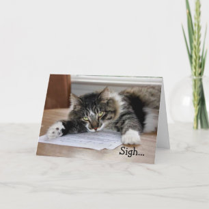 Carte Chat Musical Anniversaire Chanson Anniversaire Car