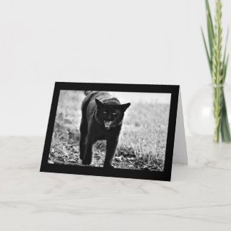 Carte "Chat noir "